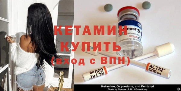 шишки Богородск