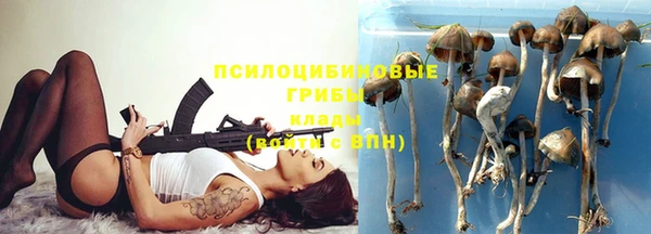 стаф Сатка