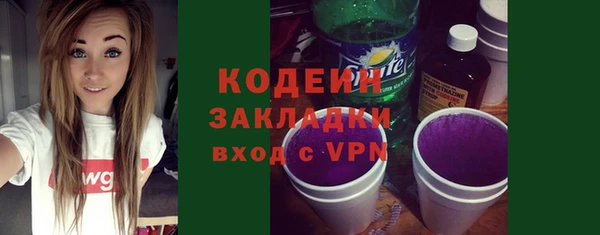 шишки Богородск