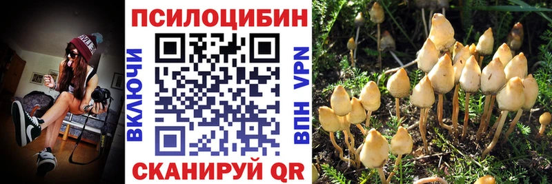 Псилоцибиновые грибы мухоморы  MEGA вход  Добрянка 